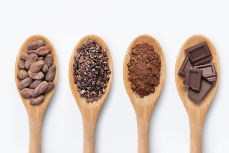 Chocolate bar, cocoa powder, cacao beans and nibs, heap in wooden spoons, chocolate backgroundの写真素材