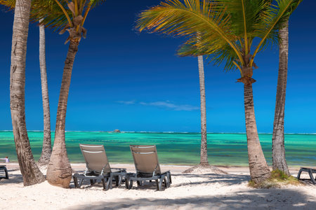 Exotic island beach with palm trees and sun lounges on the Caribbean Sea shore, summer tropical vacationの写真素材