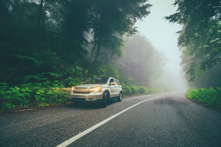 Car travel on the road in a forest in misty foggy morning in the mountain rangeの写真素材
