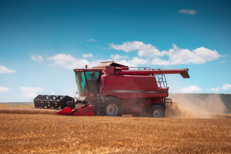 Combine harvester working on a wheat field. Harvesting conceptの写真素材