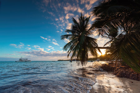 Tropical island beach with palm trees on the Caribbean Sea shore at sunrise.の写真素材