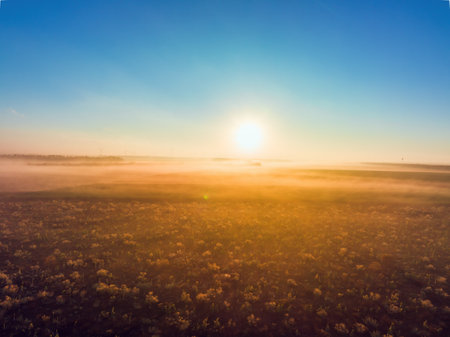 Aerial view over agricultural agronomy fields of wheat plants, beautiful sunrise in the countryside with morning fogの写真素材