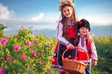 Bulgarian Rose Damascena field, Roses valley Kazanlak, Bulgaria. Boy and girl in ethnic folklore clothing harvesting oil-bearing roses at sunrise.の写真素材