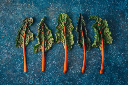 Swiss Rainbow chard, silverbeet or mangold over rustic blue textured backgroundの写真素材