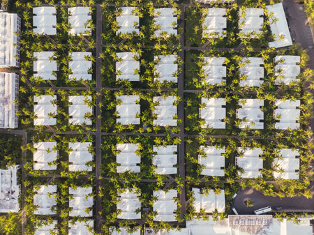 Aerial view of the city center. Top view