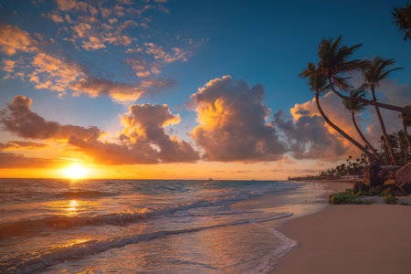 Palm trees on the tropical beach, Dominican Republicの写真素材