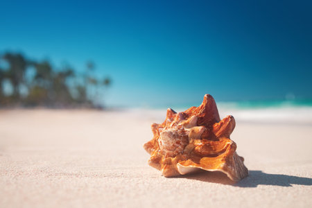 Seashell on Tropical Caribbean Beach Shore with sea waves on the sand, Caribbean summer vacation in...