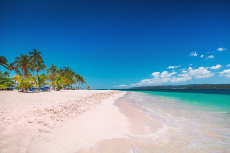 Tropical beach Caribbean Sea and Exotic Palm trees on Cayo Levantado Samana Bay Dominican Republicの写真素材