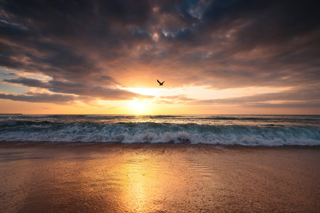 Beautiful cloudscape over the sea, sunrise shotの写真素材