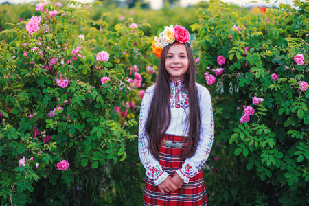 Bulgarian rose valley near Kazanlak, Bulgaria and girl in ethnic folklore clothing harvesting...