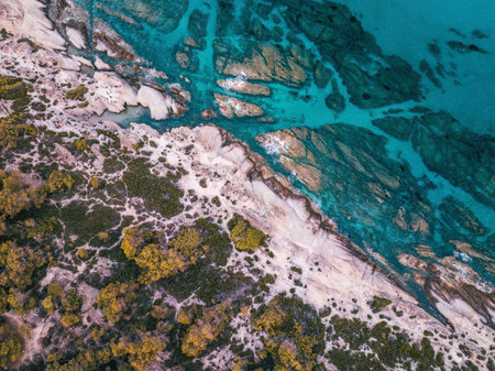 Kavourotrypes beach Sithonia paradise wild bay of Halkidiki, aerial panorama landscape viewの写真素材