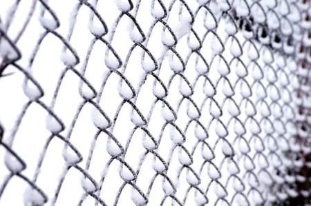 Mesh-netting in the backgroundの写真素材