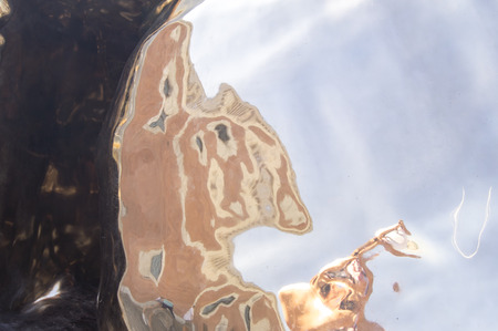 Shiny smooth rough metal surface abstract formの写真素材