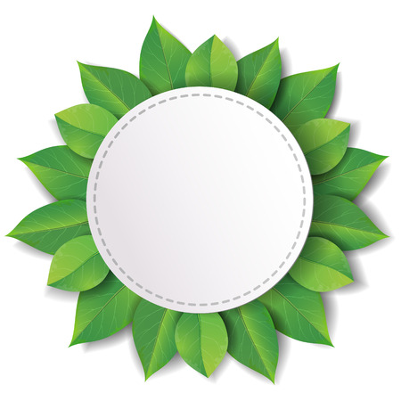 White round label decorated with fresh green leaves on white background.のイラスト素材