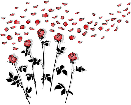 Silhouettes bunches of roses with red petals on  white.のイラスト素材