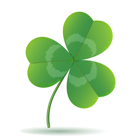 Leaf clover isolated on white.のイラスト素材