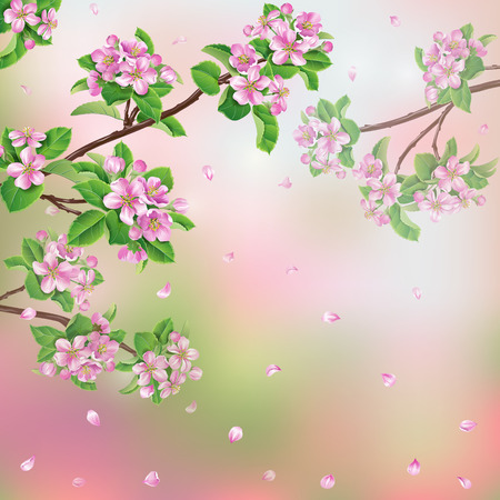 Spring background with blossoming apple tree branches and flying petals.のイラスト素材