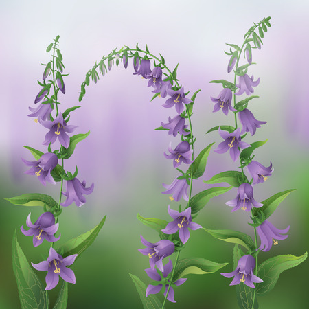 Summer lilac  background with bluebells. のイラスト素材