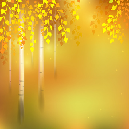 Autumn  background with birch grove.のイラスト素材