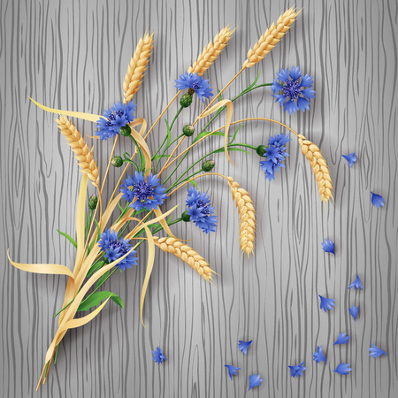 Bunch of wheat ears and blue cornflowers with scattered petals on grey  wood background.のイラスト素材