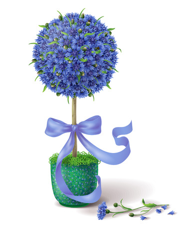 Floral decoration tree with blue cornflowers  and ribbon in green pot.のイラスト素材