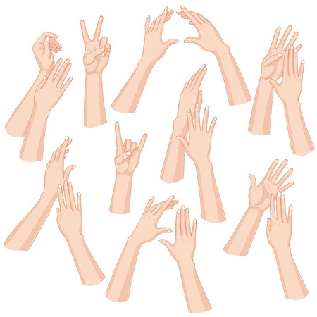 Set of woman hands  isolated on white background.のイラスト素材