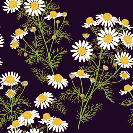 Wild chamomile bunches with green leaves and white petals on dark background. Seamless pattern.のイラスト素材