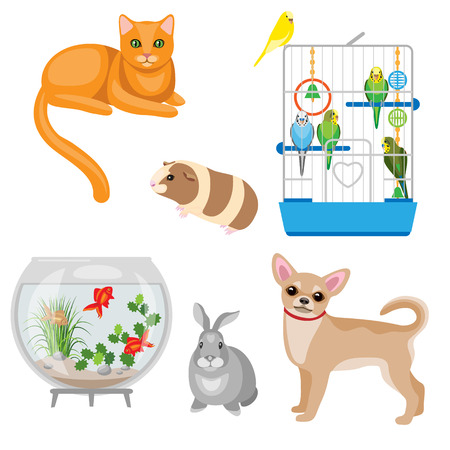 Set of pets and other animal companions. Cat, dog, rabbit, guinea pig, budgies in the cage and aquarium with fishes  isolated on white.のイラスト素材