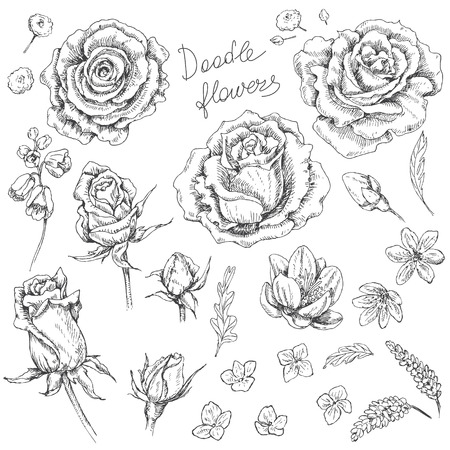 Hand drawn set of doodle flowers. Floral elements for decoration.のイラスト素材