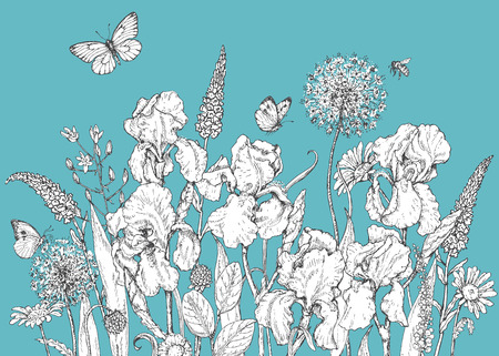 Hand drawn line illustration with iris, wildflowers and insects. Black and white doodle wild flowers, bees and butterflies on blue background. Floral elements for decoration. Vector sketch.のイラスト素材