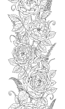 Hand drawn floral  line pattern with tea rose. Black and white doodle flowers. Coloring page. Monochrome seamless texture. Vector sketch.のイラスト素材