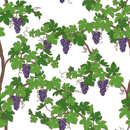 Seamless pattern with grapes.のイラスト素材