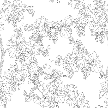Seamless pattern with grapes. Monochrome  branches with leaves and bunches of grape.のイラスト素材
