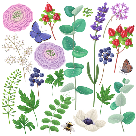 Colorful floral elements set. Flowers, leaves, berries, butterflies and flying bumblebee isolated on white. Bouquet components.のイラスト素材