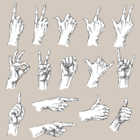 Sketch of hand gestures. Monochrome set of the different positions of the hands: count gesture, victory sign, Shaka, okay, pointing , thumbs up, closed fist.のイラスト素材