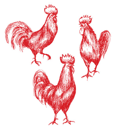 Hand drawn animalistic illustration. Red roosters sketch.  Walking cocks set isolated on white.のイラスト素材