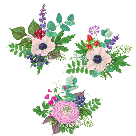 Bunches of flowers isolated on white. Romantic bouquets with cream color anemone, buttercup, floral elements and berries.のイラスト素材