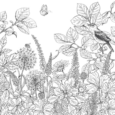 Hand drawn floral elements. Black and white flowers, plants, butterfly and sitting songbird on branch. Monochrome vector sketch.