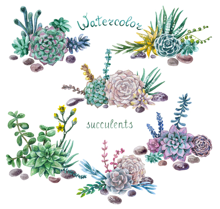 Hand drawn watercolor illustration. Floral elements for decoration. Set of various succulents  bunches and rocks isolated on white.の写真素材