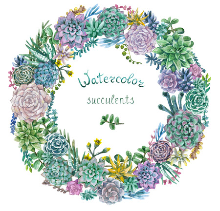 Hand drawn watercolor illustration. Floral elements for decoration. Watercolor round frame of various succulents isolated on white.の写真素材