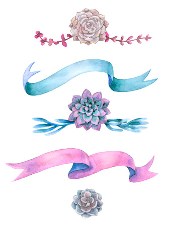 Hand drawn watercolor illustration. Floral elements for decoration. Set of colorful ribbons and  succulents isolated on white.の写真素材