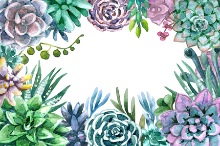 Hand drawn watercolor illustration. Floral elements for decoration. Rectangle frame of succulents with space for text.の写真素材