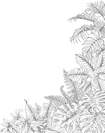 Hand drawn branches and leaves of tropical plants. Corner background with space for text. Monstera, fern, palm fronds sketch. Black and white illustration coloring page for adult.のイラスト素材