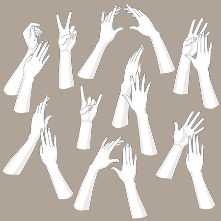 Monochrome woman hands set isolated on brown background.のイラスト素材