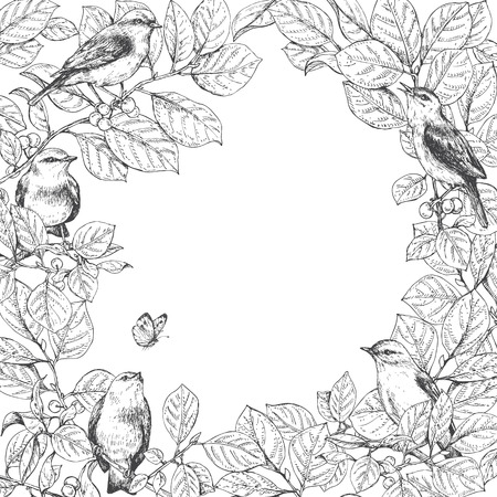 Hand drawn doodle square floral frame. Birds sitting on branches and flying butterfly.のイラスト素材