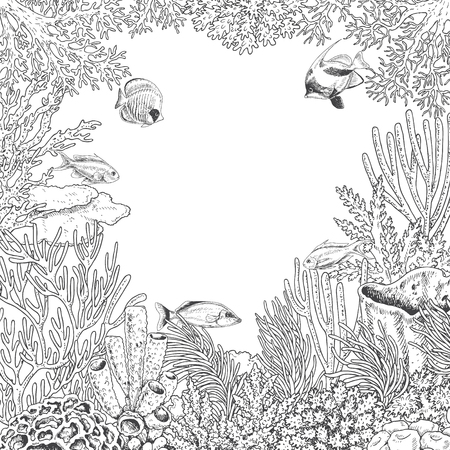 Hand drawn underwater natural elements. Sketch of reef corals and swimming fishes.のイラスト素材