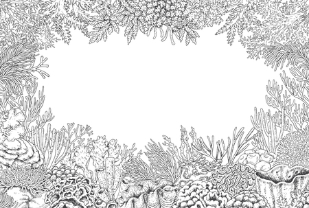 Hand drawn underwater natural elements. Sketch of reef corals background.  Monochrome rectangle frame with space for text. Black and white illustration coloring page.のイラスト素材