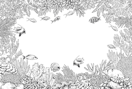 Hand drawn underwater natural elements. Sketch of reef corals  and swimming fishes background.  Monochrome horizontal rectangle frame with space for text. Black and white illustration coloring page.のイラスト素材