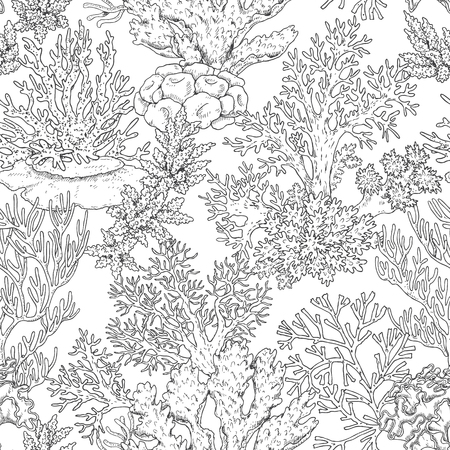 Hand drawn underwater natural elements. Seamless pattern with reef corals. Sea bottom monochrome texture. Black and white illustration coloring page. Vector sketch.のイラスト素材
