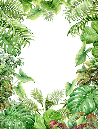 Hand drawn  branches and leaves of tropical plants. Natural green background with space for text. Watercolor rectangle vertical floral frame.の写真素材